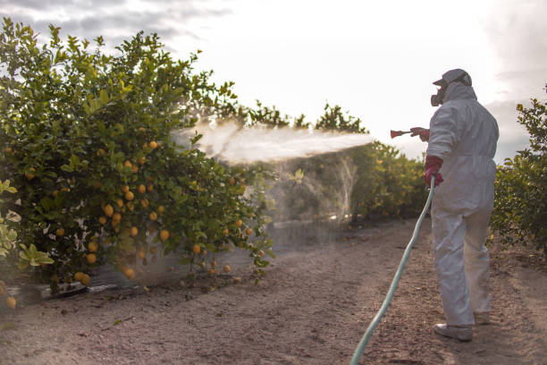 Best Best Pest Control Near Me  in Carthage, MS