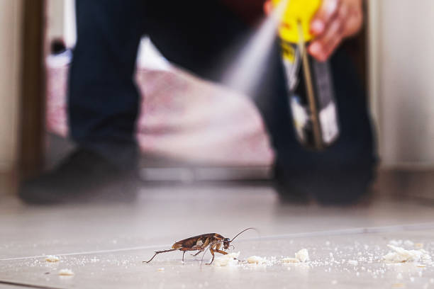 Best Emergency Pest Control  in Carthage, MS